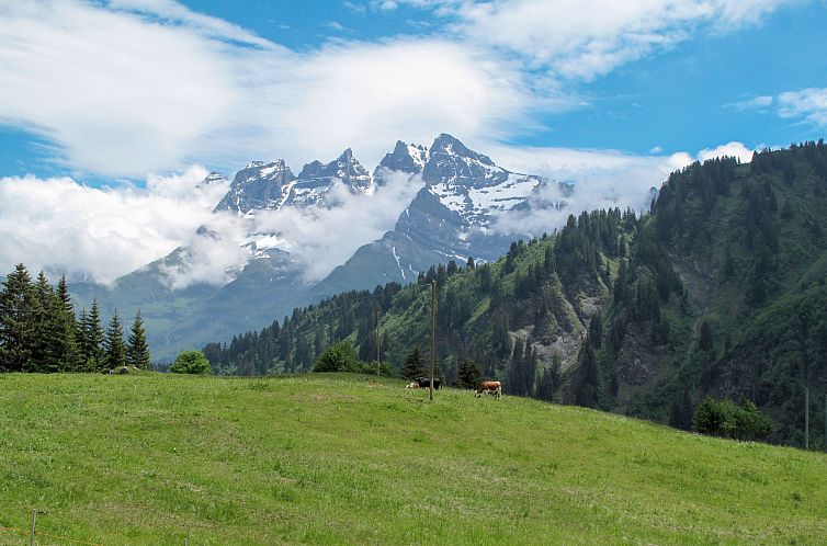 Appartement Résid. Les Esserts A42, (Champoussin),