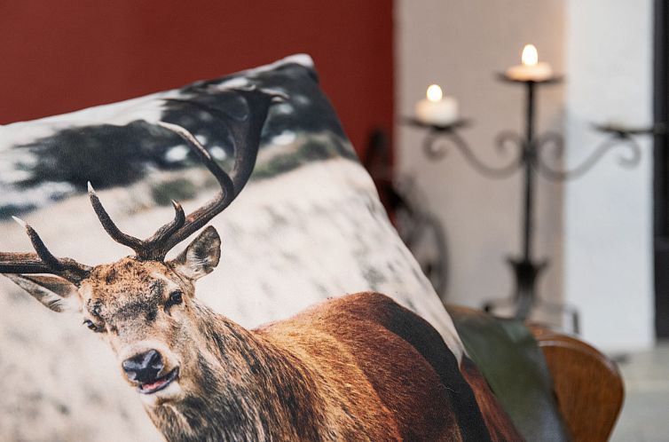 Vakantiehuis Chalet Chante Neige