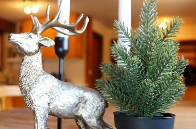 Vakantiehuis Chalet Écureuil