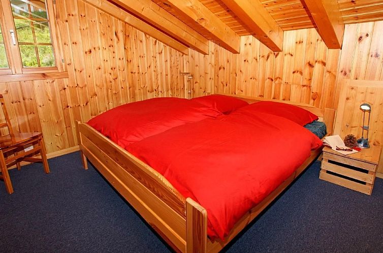 Vakantiehuis Chalet Alpina
