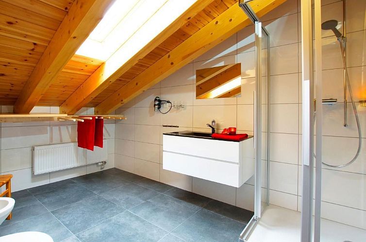 Vakantiehuis Chalet Alpina