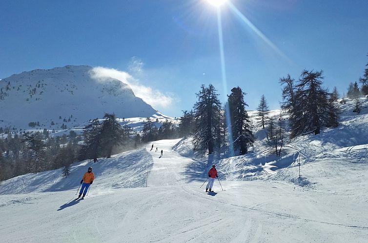 Vakantiehuis Chalet Alpina