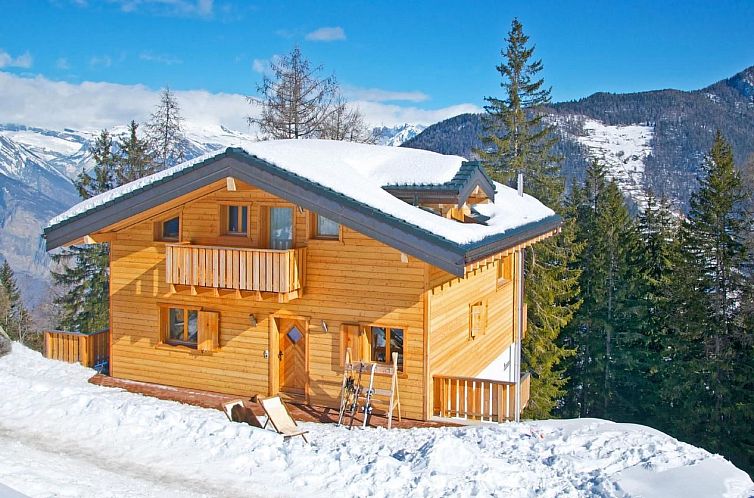Vakantiehuis Chalet Chaud