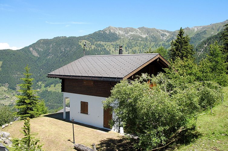 Vakantiehuis Edelweiss