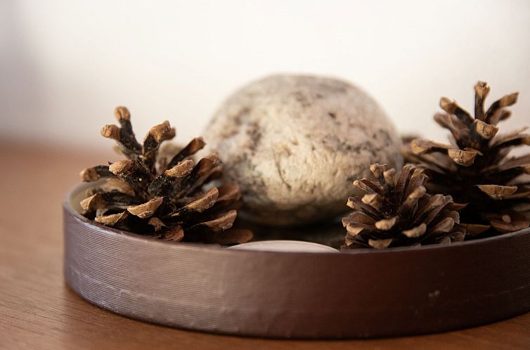 Appartement Porthos 37