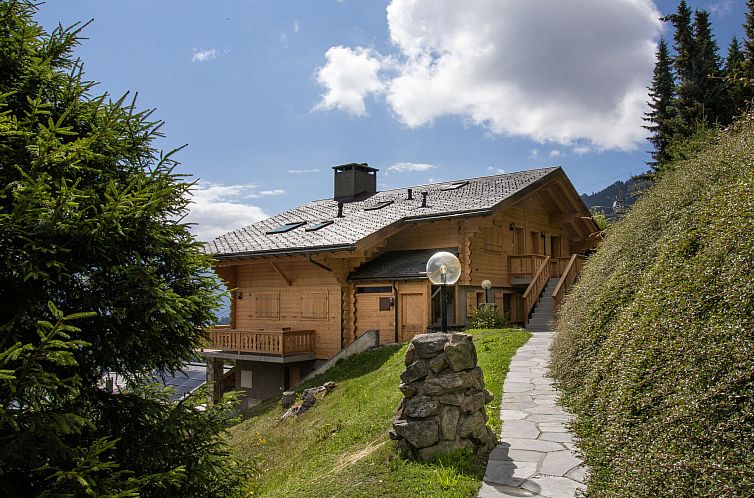 Appartement Pinot Gris combles