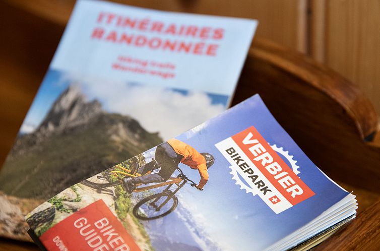 Appartement Pinot Gris combles