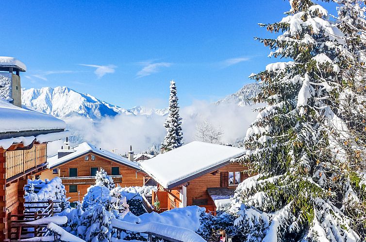 Appartement Boule de Neige