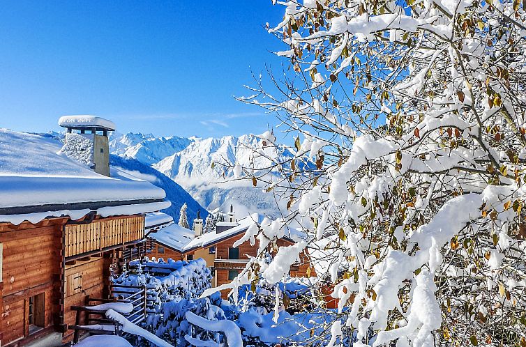 Appartement Boule de Neige