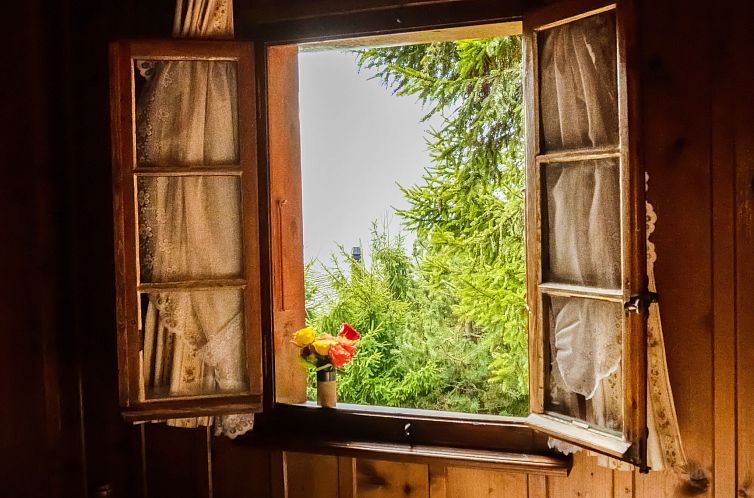 Vakantiehuis La Pive