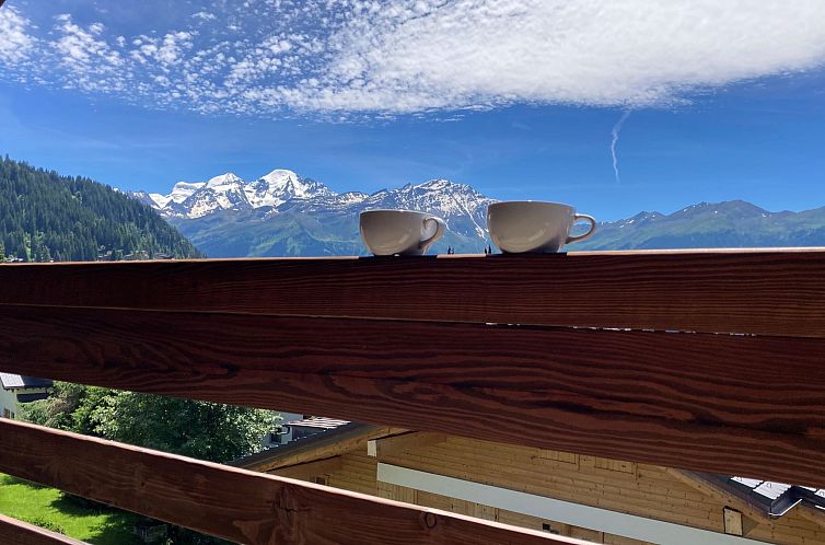 Appartement Olympia 443