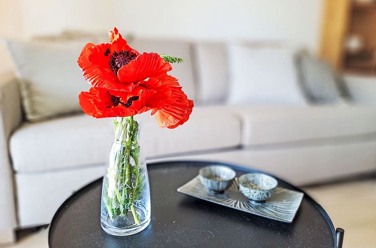 Appartement Baudrier A05