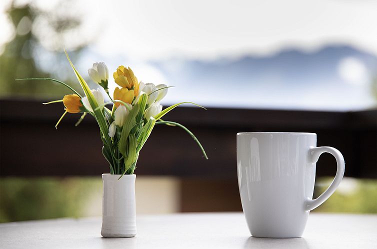 Appartement Galaxie 217