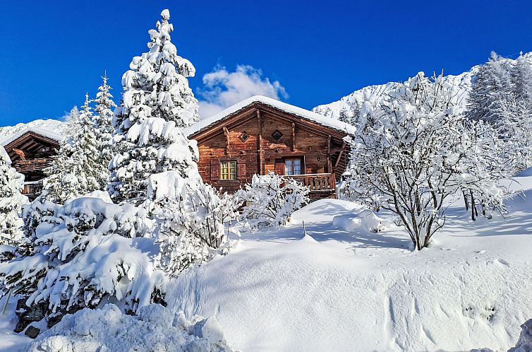 Vakantiehuis La tintaz