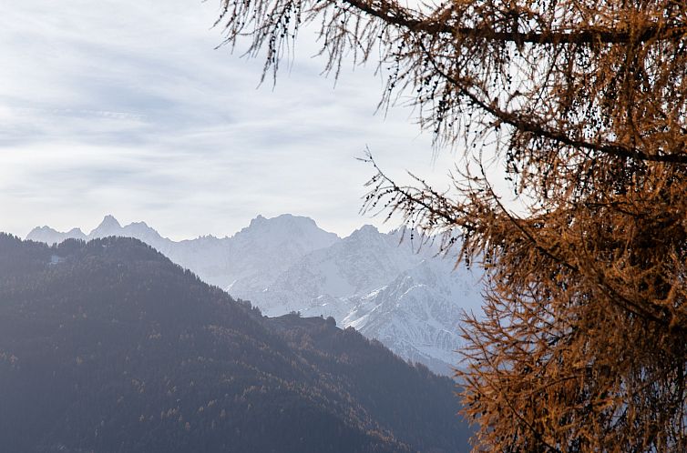 Appartement Diure 0113