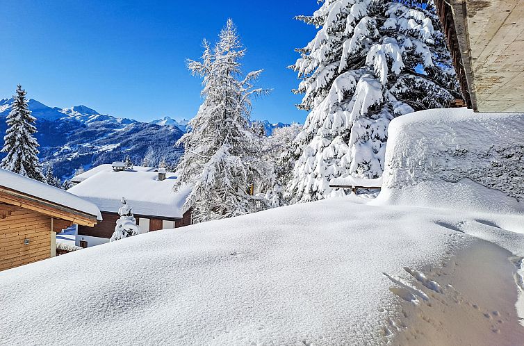 Appartement Orchidée 111