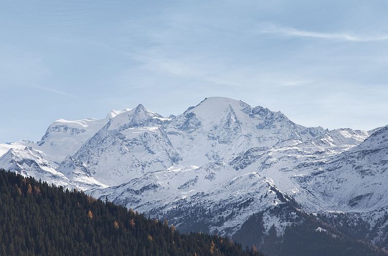 Appartement Orchidée 111