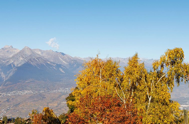 Vakantiehuis Le Bouquetin