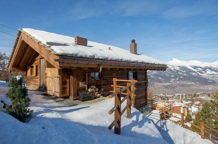 Vakantiehuis Chalet Oak Tree amazing, sauna, ski-in/out