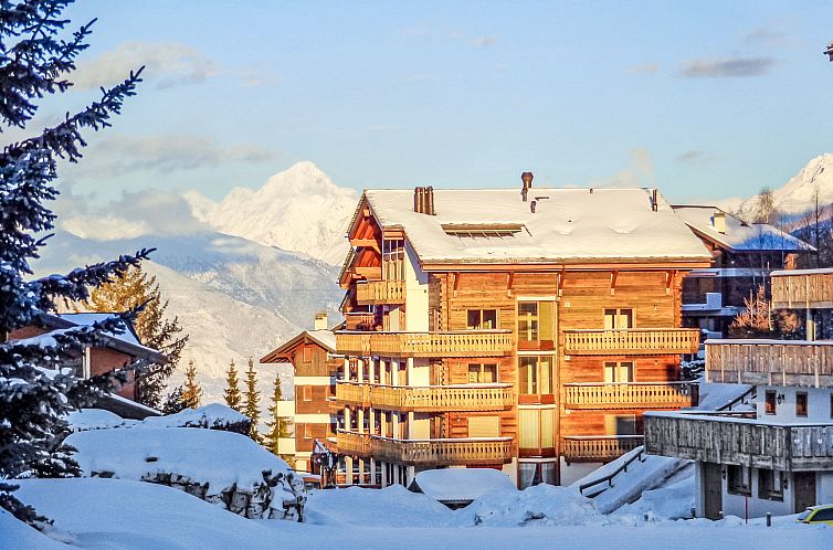 Appartement Les Cimes Blanches 102 A