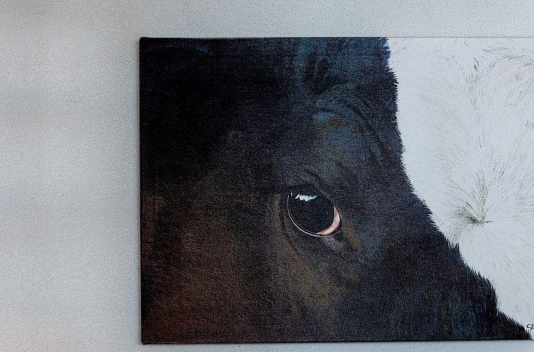 Vakantiehuis Chalet Arvine