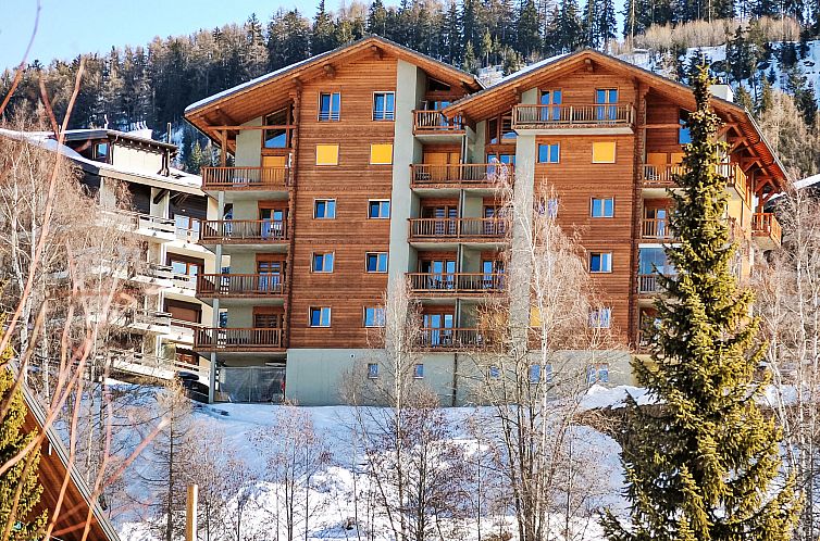 Appartement Les Chouettes 1