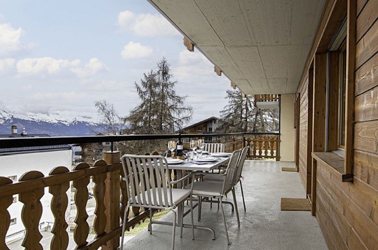 Appartement Ambassador I Apt 7