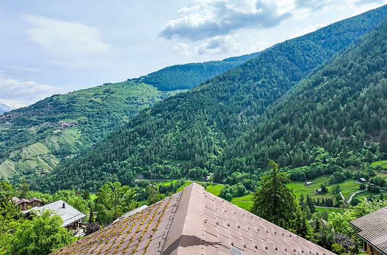 Vakantiehuis Edelweiss