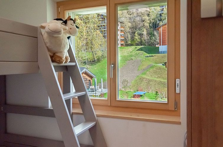 Vakantiehuis Les penguins