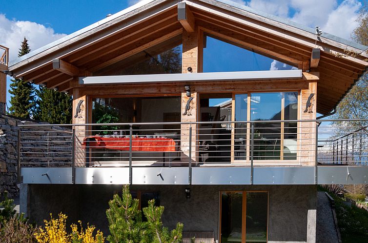 Vakantiehuis Les penguins