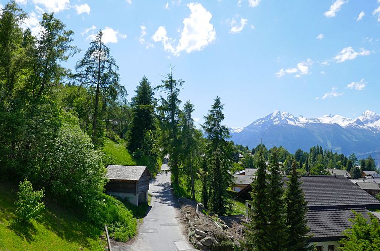 Appartement Chaedoz 13