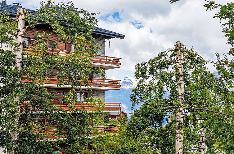 Appartement Derborence 28