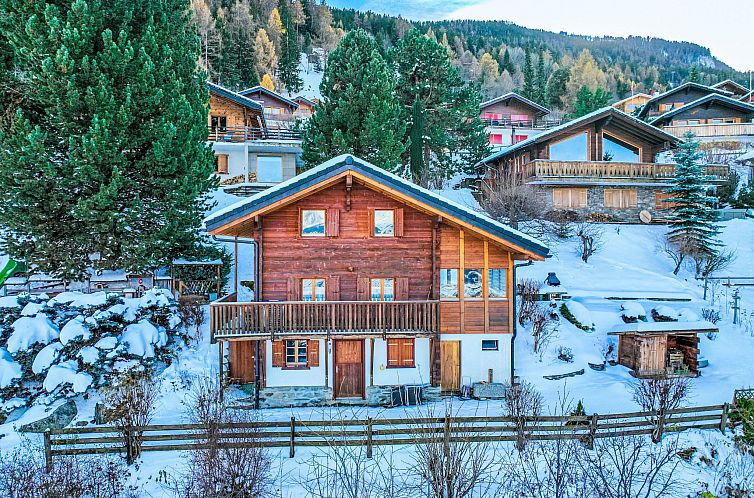 Vakantiehuis L'aïeul