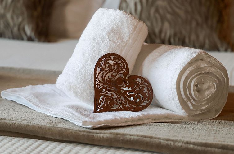 Vakantiehuis Le Grillon