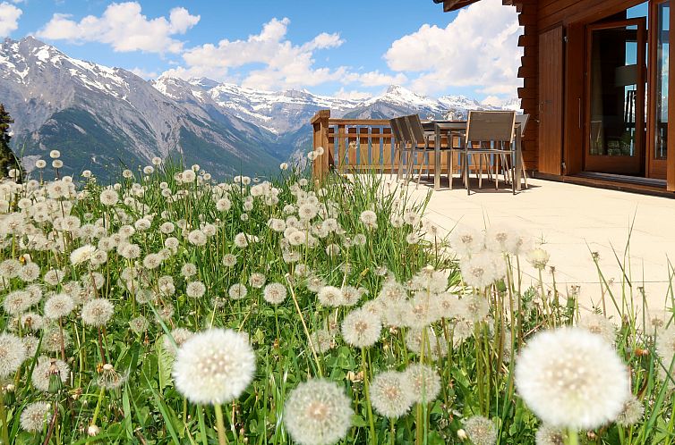 Vakantiehuis La Truffe 8