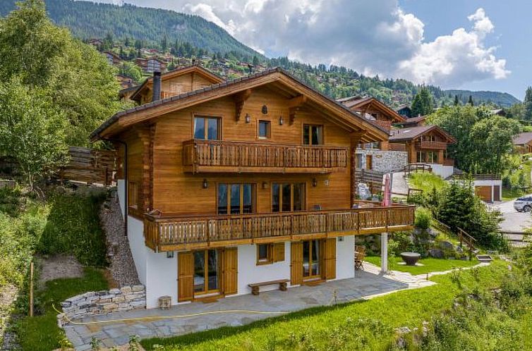 Vakantiehuis Chalet Le Papillon, sauna, 4 Vallées