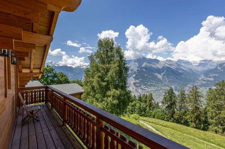 Vakantiehuis Chalet Le Papillon, sauna, 4 Vallées