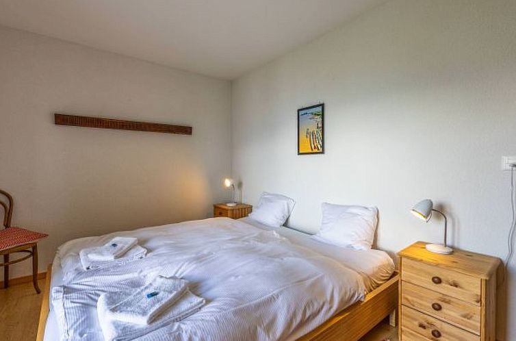 Vakantiehuis Chalet Le Papillon, sauna, 4 Vallées