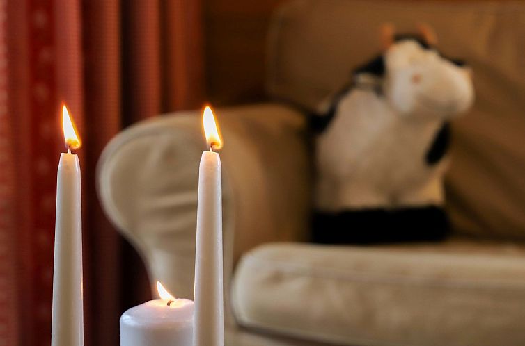 Appartement Terrasses du Paradis 5B