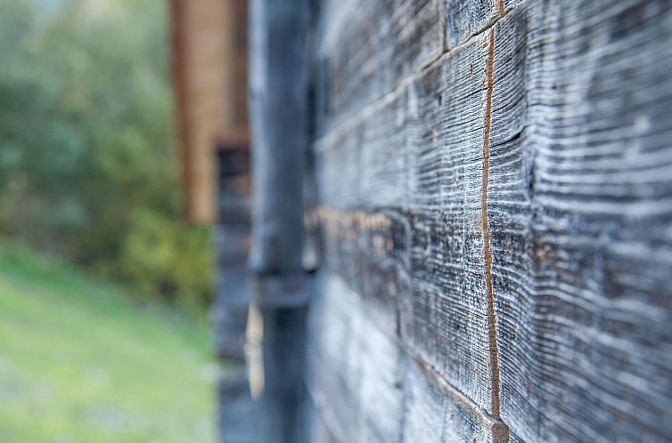 Vakantiehuis Alm Mayen im Wallis von 1904