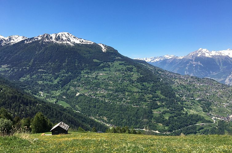Vakantiehuis Alm Mayen im Wallis von 1904