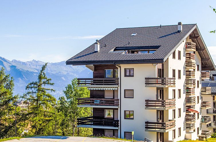 Unterkunft 1843571 - Appartement Wallis - Appartement Prachalier I No6