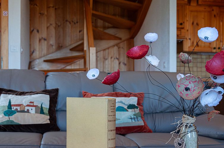 Vakantiehuis Valet de Coeur