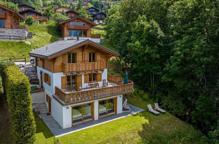 Vakantiehuis Chalet La Vue - hammam, pet friendly, amazing v
