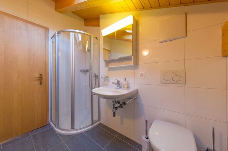 Vakantiehuis Chalet Freya Nendaz 4 Vallées