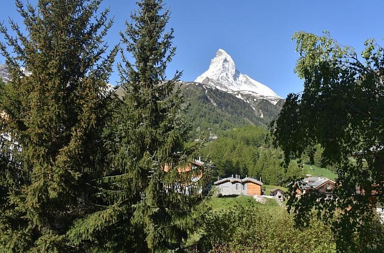 Appartement Top Ferienwohnung Breithorn (SkiIn/SkiOut)