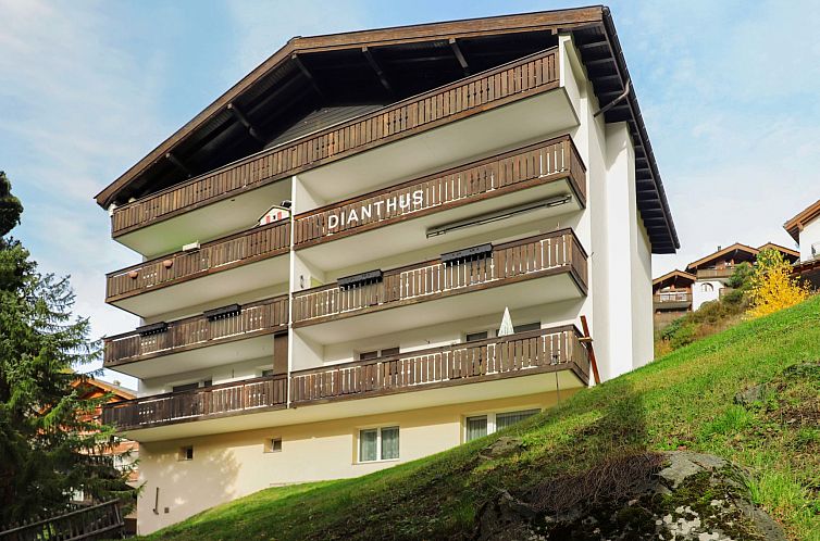 Appartement Dianthus