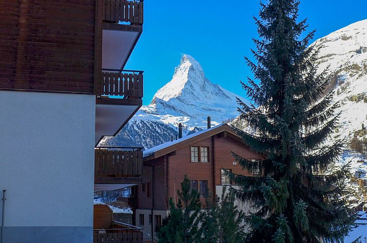 Unterkunft 18436160 - Appartement Wallis - Appartement Shangri La