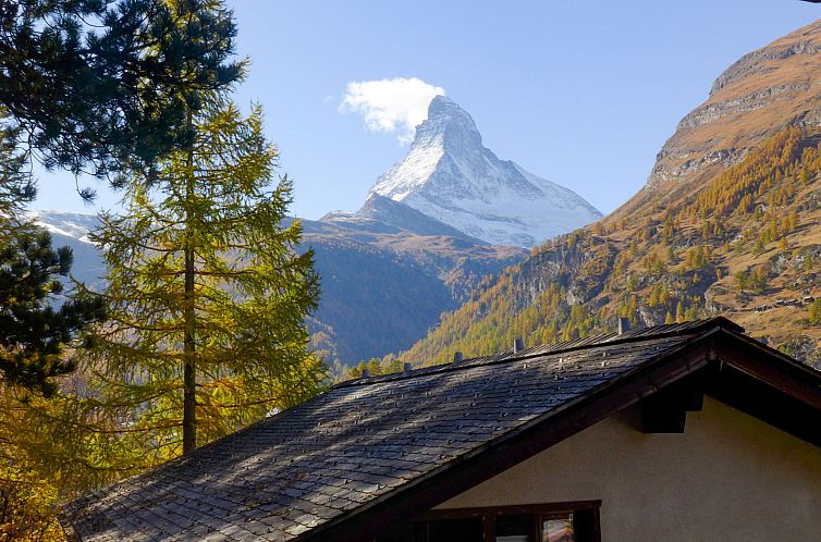 Unterkunft 18436172 - Appartement Wallis - Appartement Roger