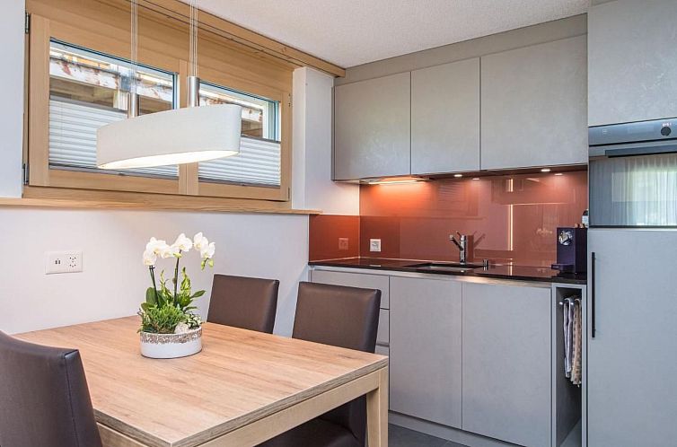 Appartement Top Ferienwohnung Dom (SkiIn/SkiOut)